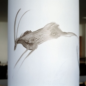 Aquaglyphe 05