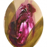 Rose für Francis