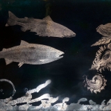 Der alte Bach, 2012, 50 x 70 cm