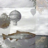 Wolkenaquarium, 2014