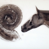 Übergang, 2006, 80 x110 cm, Zeichnung mit Tusche auf Folie