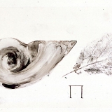 Muschel und Blatt, 2000, 20 x 91 cm, Tusche auf Transparentfolie