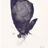 Falter, 1997, 30 x 20 cm, Tusche auf Transparentfolie