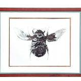 Hummel, 2000, 30 x 40 cm, Tusche