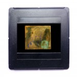 Stier, 1988, 30 x 30 cm, Sand, Kreide, Öl auf Nessel